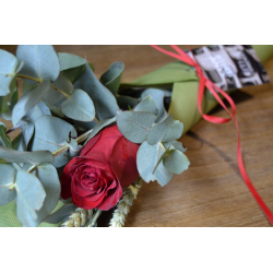 Rosa de Sant Jordi - Cono verde - eucalipto