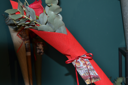 Rosa Sant Jordi - Cono rojo - eucalipto