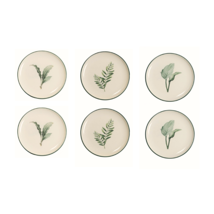 Set 6 platos hojas verdes