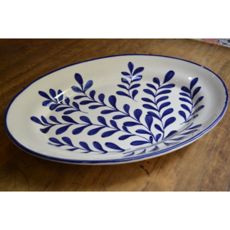 Fuente leaves blue