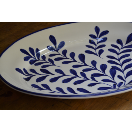 Fuente leaves blue