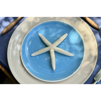Plato azul celeste