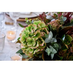 Centro de mesa otoñal con hortensia variada