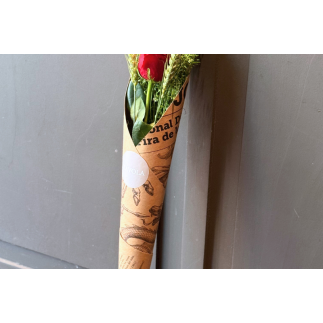 Rosa sant jordi kraft - talspi