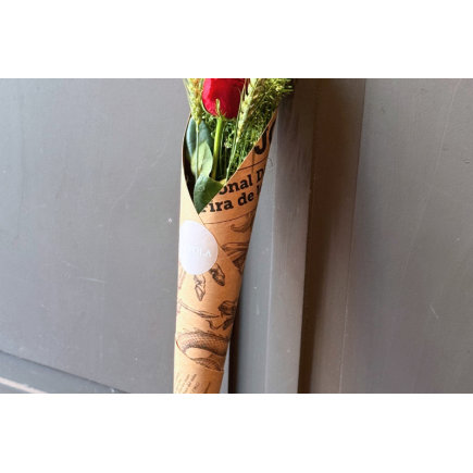 Rosa sant jordi kraft - talspi