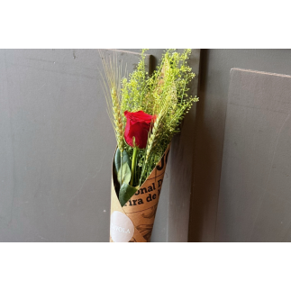 Rosa sant jordi kraft - talspi