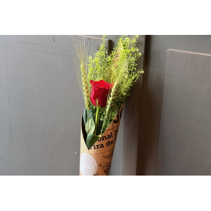 Rosa sant jordi kraft - talspi