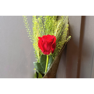 Rosa de sant jordi yute verde -talspi