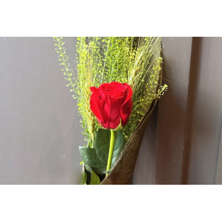 Rosa de sant jordi yute verde -talspi