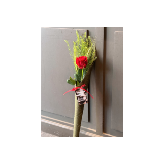 Rosa de sant jordi yute verde -talspi