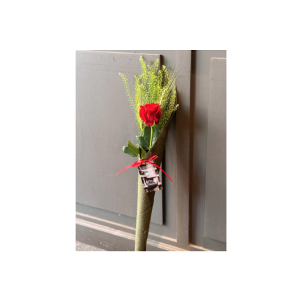 Rosa de sant jordi yute verde -talspi