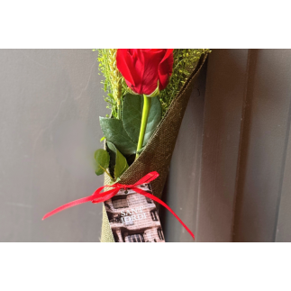 Rosa de sant jordi yute verde -talspi