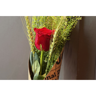 Rosa sant jordi kraft - talspi