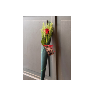 Rosa de sant jordi cono verde oscuro - talspi