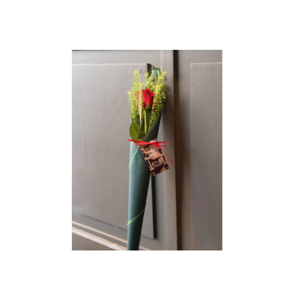 Rosa de sant jordi cono verde oscuro - talspi