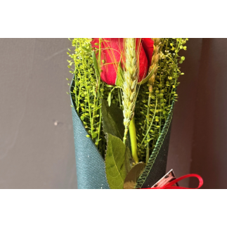 Rosa de sant jordi cono verde oscuro - talspi