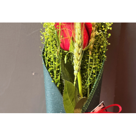 Rosa de sant jordi cono verde oscuro - talspi