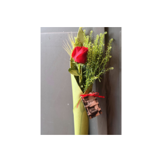 Rosa de sant jordi cono verde - talspi