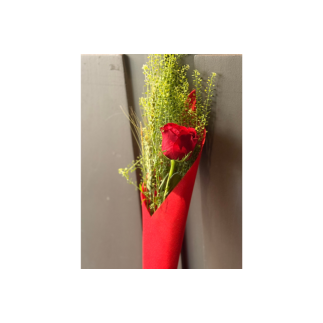 Rosa de sant jordi cono rojo - talspi