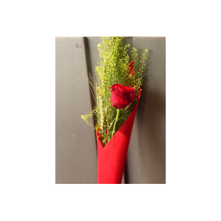 Rosa de sant jordi cono rojo - talspi