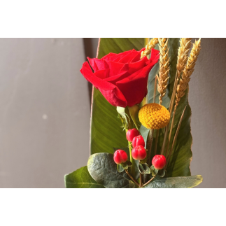 Rosa de sant jordi - hoja