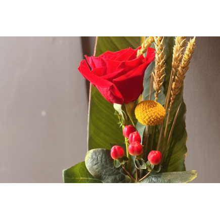 Rosa de sant jordi - hoja