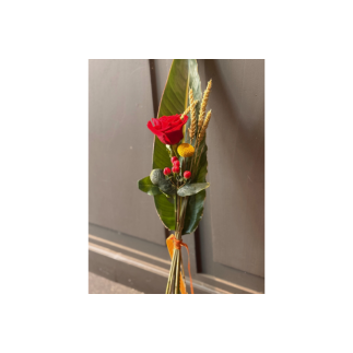 Rosa de sant jordi - hoja