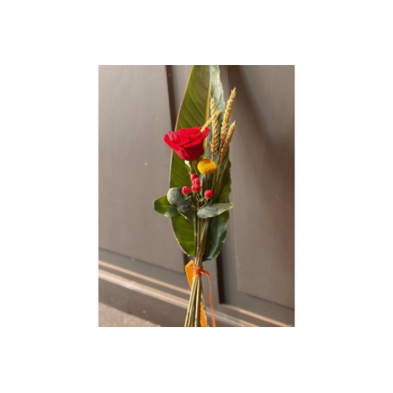 Rosa de sant jordi - hoja