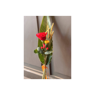 Rosa de sant jordi - hoja