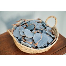 Complementos de pizarra