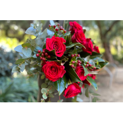 Ramo de 12 rosas con Hypericum
