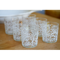Set 6 vasos coral