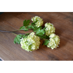 Vara viburnum artificial