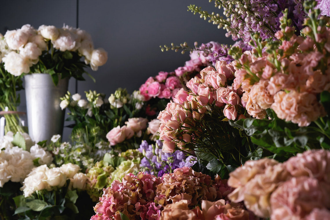 Flores