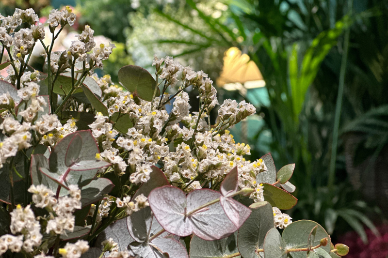 Ramo de limonium y eucalipto con jarrón