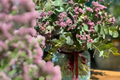 Ramo de limonium y eucalipto en jarrón