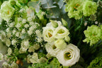 Ramo blancos y verdes variado