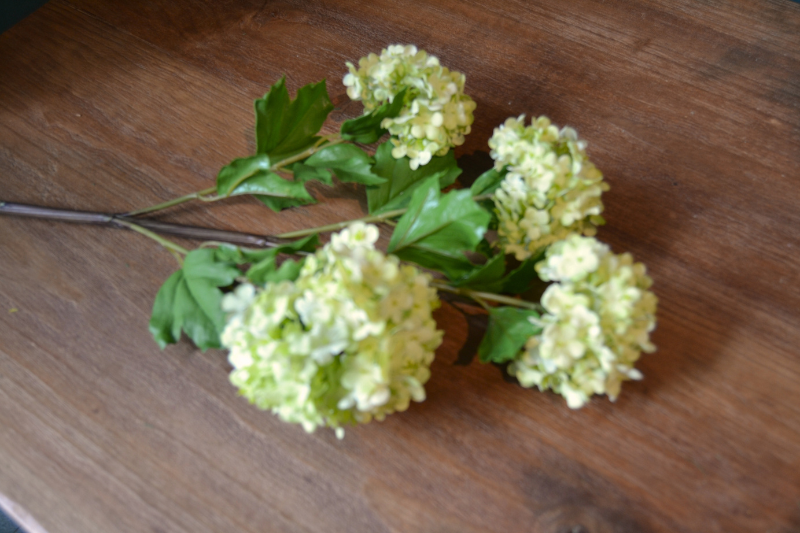 Vara viburnum artificial